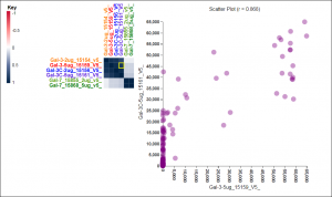 Example Correlation Map showing Galectin Data